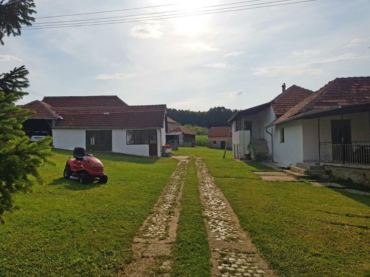 Green Apartments * Kursumlija